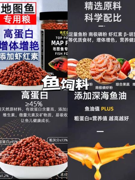 地图鱼吃什么饲料比较好,地图鱼吃什么鱼食