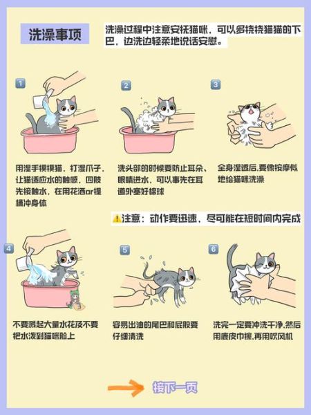 如何给猫洗澡,怎么在家给猫洗澡