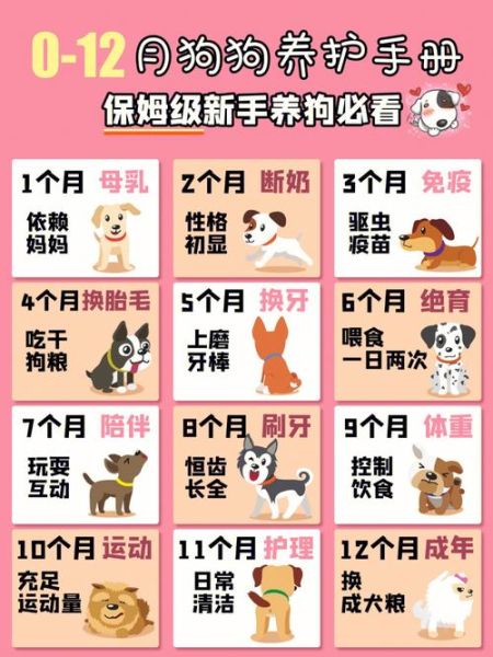 小狗吃奶糕粮要吃到多大,小狗吃奶粉拉稀怎么回事