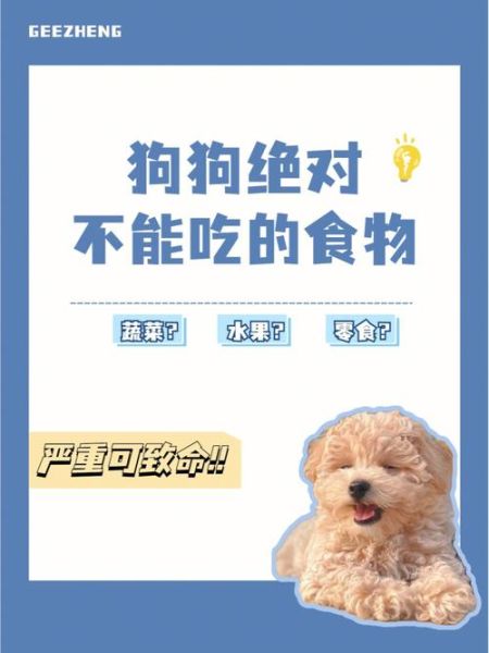 小狗狗能吃菠菜吗,狗狗忌口的食物一览表