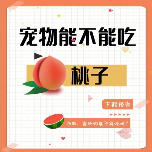 小狗能不能吃桃子核,小狗可不可以吃桃子
