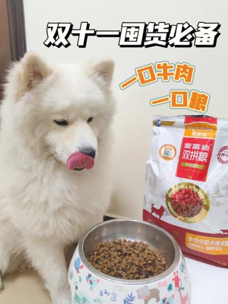 小狗能吃猫粮吗猫的狗粮毛的量,猫猫不爱吃猫粮咋办