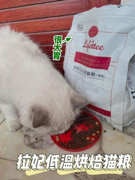 小狗能吃猫粮吗猫的狗粮毛的量,猫猫不爱吃猫粮咋办