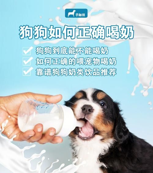 小狗能喝纯牛奶吗一个多月,小狗能喝纯牛奶吗吗
