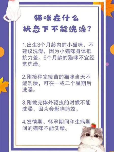 小猫多大能洗澡怎么洗,小猫多大能洗澡吗