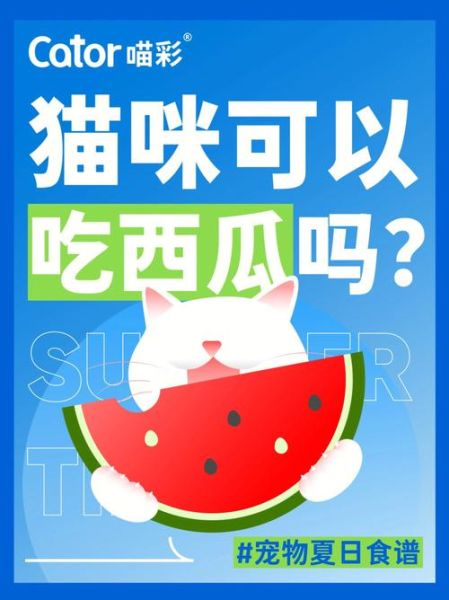 小猫能不能吃西瓜皮,小猫能不能吃西瓜子