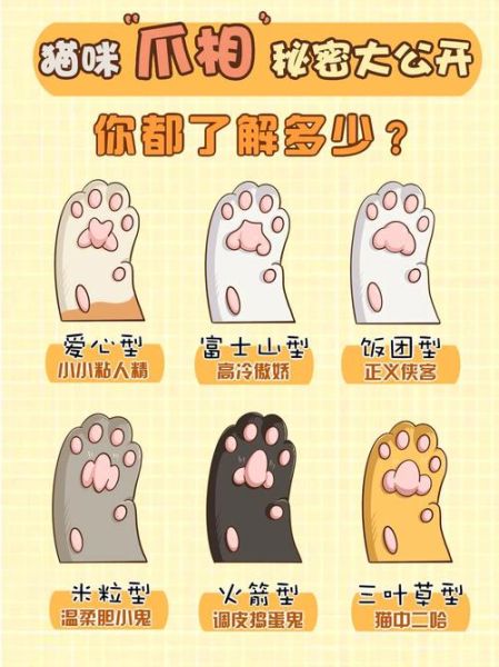 怎么看幼猫性格好坏,幼猫多久可以洗澡一次