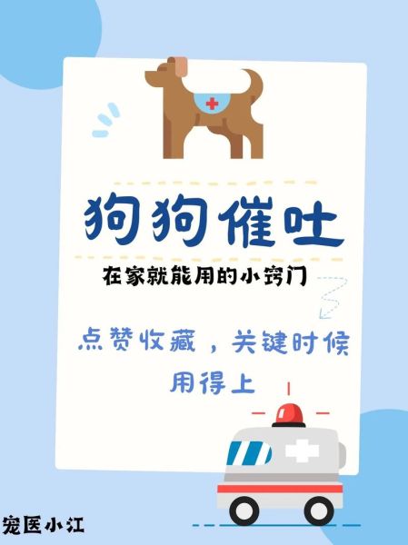 怎么给狗催吐,没有双氧水,怎么给狗催吐洗胃