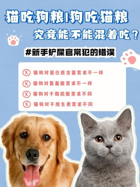 我家狗狗一直吃猫粮,猫咪一定要吃猫粮吗