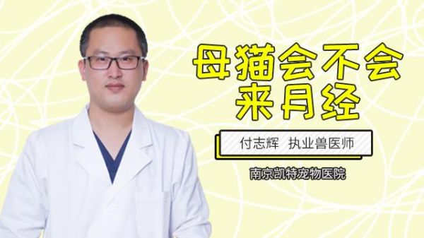 母猫有经期么,母猫咪会有月经吗
