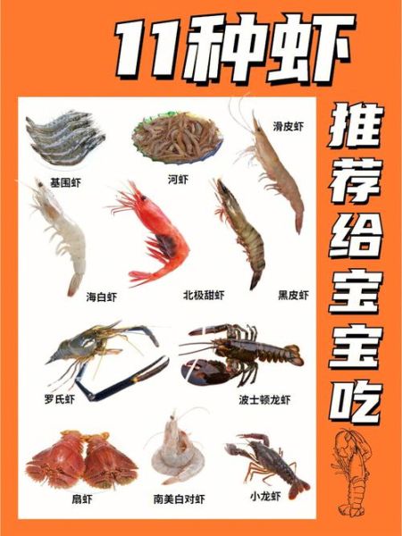 河虾吃什么食物才能养活,河虾吃什么食物怎么养