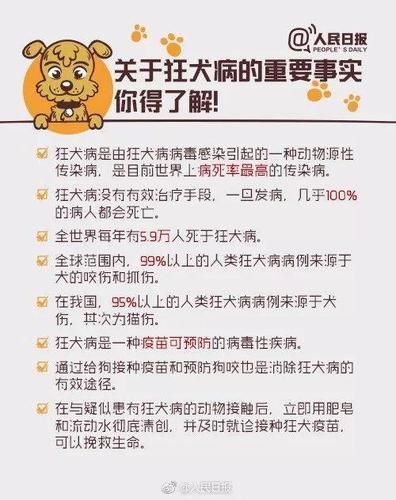 流浪狗能活多久,携带狂犬病毒的狗能活多久