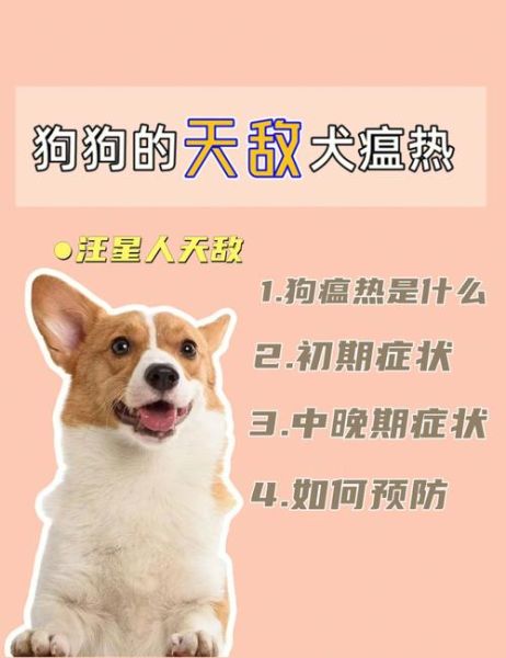 犬瘟可以治好吗抽搐,犬瘟可以治好吗成年犬