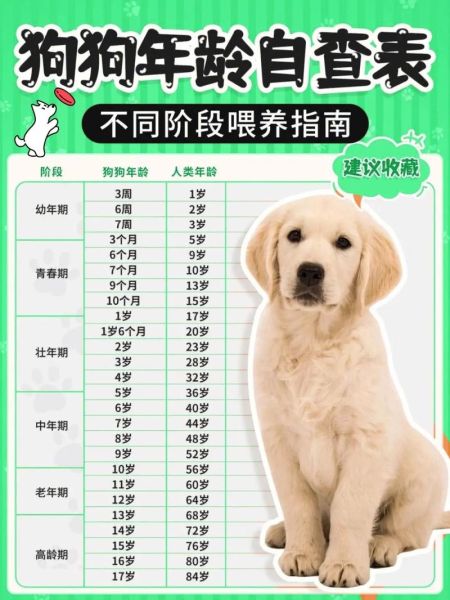 狗一年相当于几岁,猫一年相当于几岁百度百科