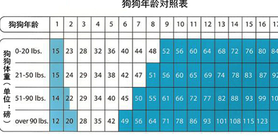 狗一年相当于几岁,猫一年相当于几岁百度百科