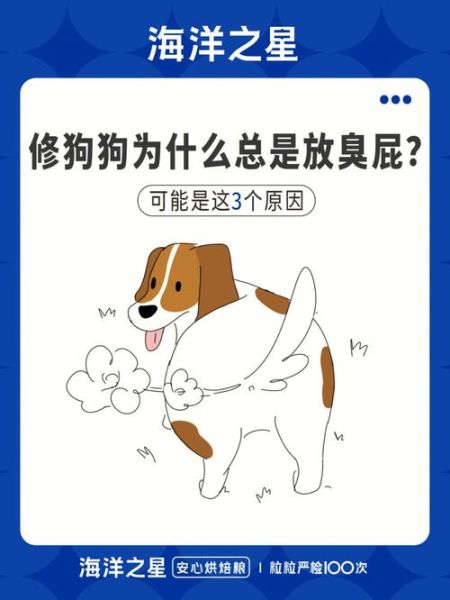 狗会不会放屁很臭,狗会不会放屁是什么味的