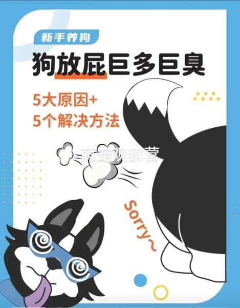 狗会不会放屁很臭,狗会不会放屁是什么味的