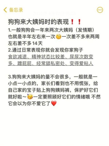 狗会来大姨父吗,狗也会来大姨妈吗图片