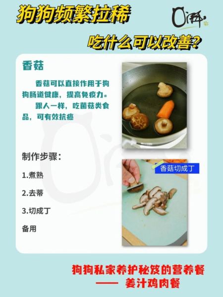 狗可以吃姜片吗,狗狗吃姜了要怎么补救