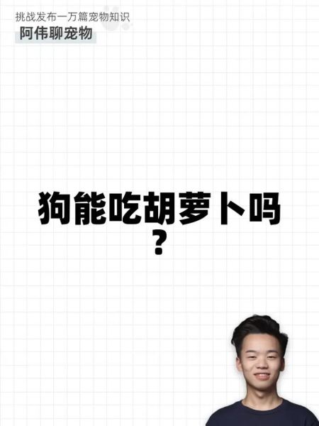 狗可以吃胡萝卜吗生的还是熟的,狗可以吃胡萝卜吗