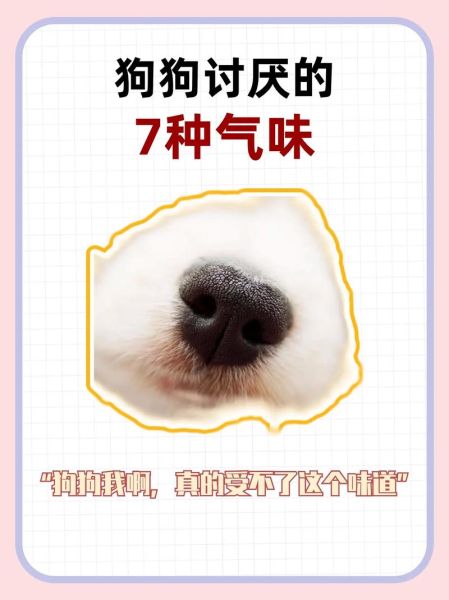狗怕什么动物气味,狗最怕什么动物