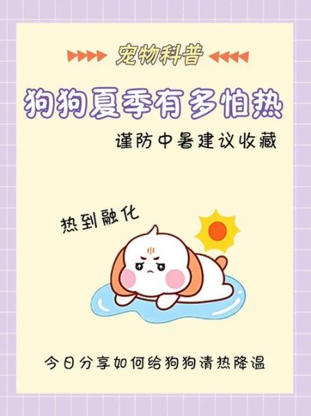 狗怕热吗夏天,狗怕热吗可以承受多少度