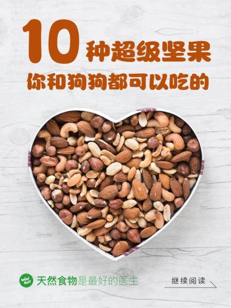 狗狗可以吃的坚果有哪些,狗狗能吃杏仁吗什么意思