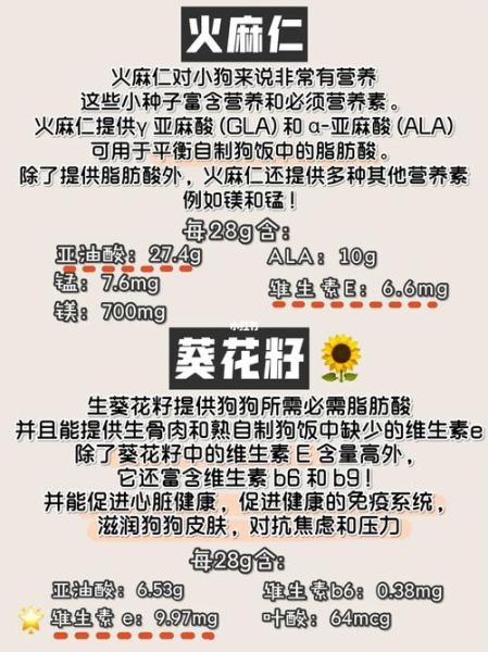 狗狗可以吃的坚果有哪些,狗狗能吃杏仁吗什么意思