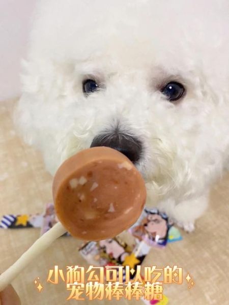 狗狗可以吃糖吗为什么,狗狗可以吃糖吗狗可以吃糖吗