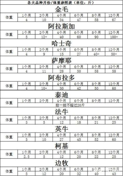 狗狗忌口的食物一览表,泰迪小狗狗可以吃香蕉吗