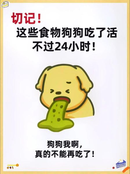 狗狗狗狗狗狗吃饭视频,狗狗狗狗不能吃什么东西