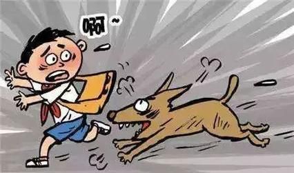 狗狗突然咬人的10个原因,对主人下口的狗能继续养吗
