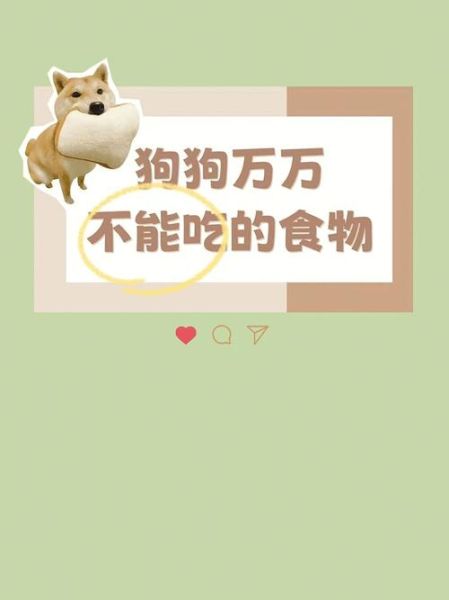 狗狗能不能吃核桃饼干,狗狗能不能吃核桃肉