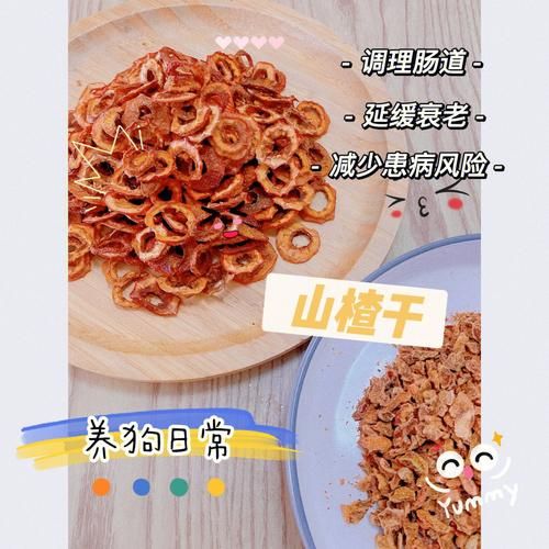 狗狗能吃山楂片儿吗,狗狗能不能吃山楂