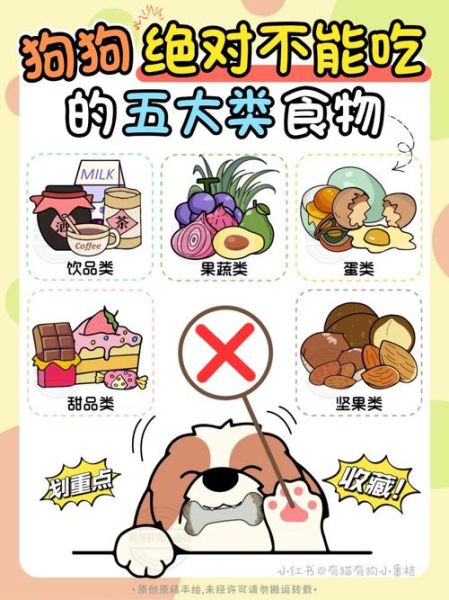 狗能不能吃糖果,狗能不能吃糖饼