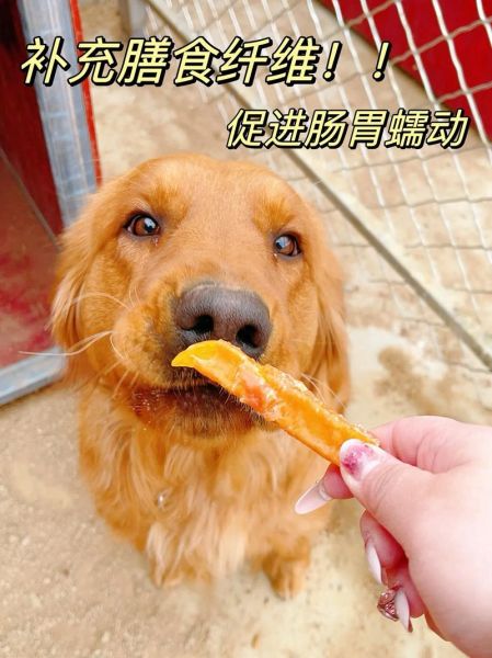 狗能不能吃红薯干,狗能不能吃红薯干儿
