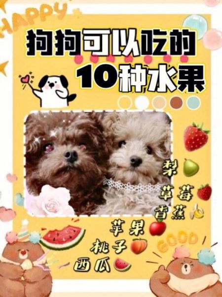 狗能吃甜的东西吗会死吗,狗能吃甜的东西吗吗