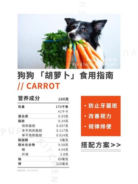 狗能吃胡萝卜吗吃多少,狗狗一周吃几次胡萝卜合适