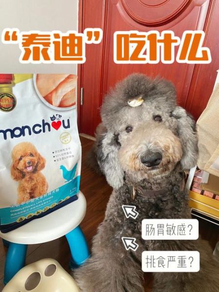 狗能吃豆腐吗白菜是肯定能吃,泰迪狗能吃豆腐吗