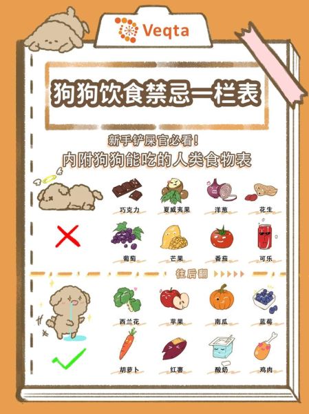 狗能吃辣吗泰迪狗,狗狗忌口的食物一览表