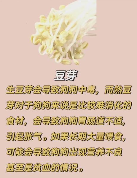 狗能吃香菇吗有毒吗,狗能吃香菇吗为什么