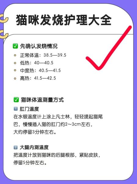 猫会发烧吗怎么测,猫会发烧吗怎么办