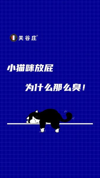 猫咪会放屁吗怎么感觉有股臭味,猫咪会放屁吗怎么感觉有股臭气
