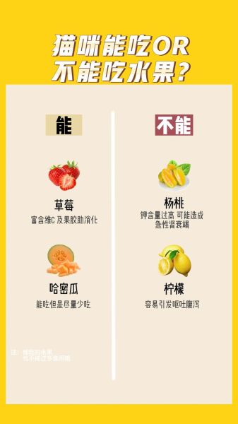 猫咪可以吃苹果吗不带皮的,猫能吃的20种水果