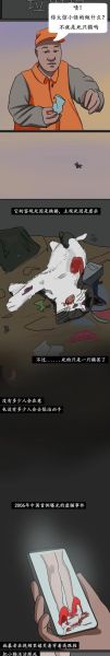 猫咪害怕主人的表现,虐猫的人有什么心理疾病