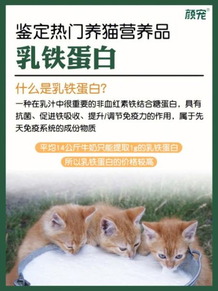 猫咪能吃蛋白吗有营养吗,猫咪能吃蛋白吗煮熟的