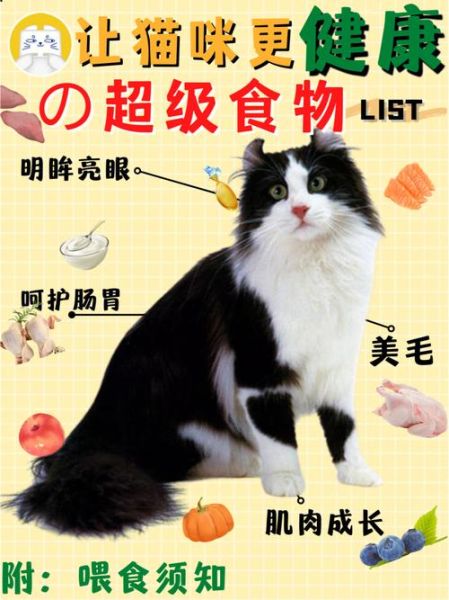 猫咪能吃蛋白吗有营养吗,猫咪能吃蛋白吗煮熟的