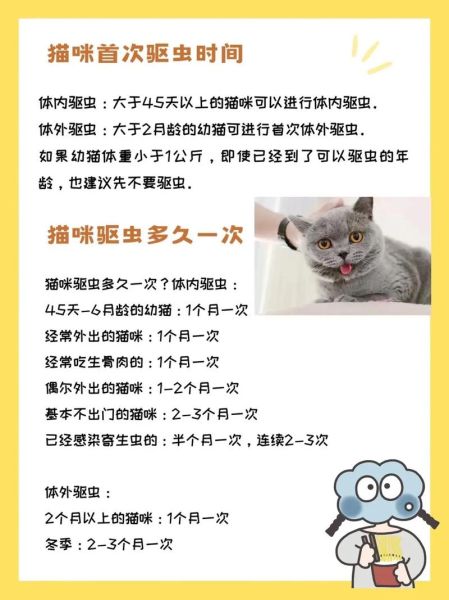 猫多久驱一次虫多少钱,猫多久驱一次虫体外