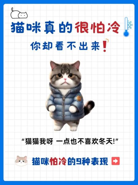 猫怕冷吗,猫感觉冷了有什么表现