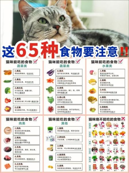 猫能不能吃红薯叶,猫能不能吃红薯苗